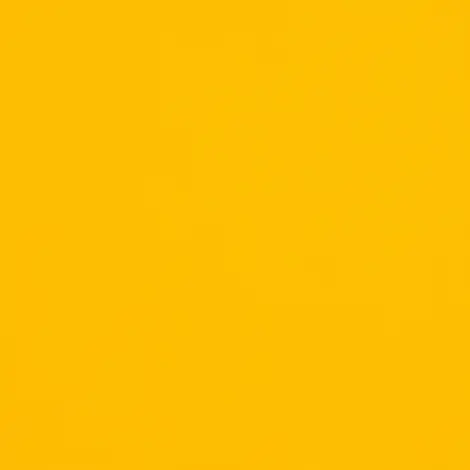 Yellow Sunflower