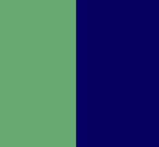 Green Lime / Blue Navy