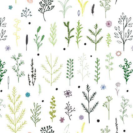 Blanc Motifs
