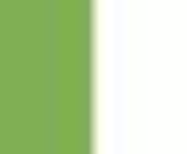 Vert Prairie / Blanc