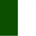 Vert Fôret / Blanc