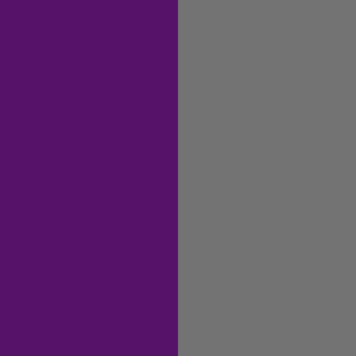 Violet / Gris